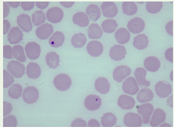JAP-2330-2178-05-0039-fig1